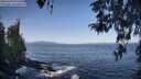 ./images/koeye/fitz-hugh/20260423/fitz-hugh20260423_091501M.jpg