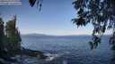 ./images/koeye/fitz-hugh/20260423/fitz-hugh20260423_092001M.jpg