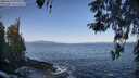 ./images/koeye/fitz-hugh/20260423/fitz-hugh20260423_093001M.jpg