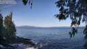 ./images/koeye/fitz-hugh/20260423/fitz-hugh20260423_093501M.jpg