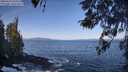 ./images/koeye/fitz-hugh/20260423/fitz-hugh20260423_094501M.jpg