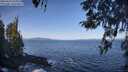 ./images/koeye/fitz-hugh/20260423/fitz-hugh20260423_095002M.jpg