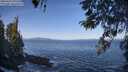 ./images/koeye/fitz-hugh/20260423/fitz-hugh20260423_095501M.jpg