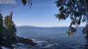 ./images/koeye/fitz-hugh/20260423/fitz-hugh20260423_100002M.jpg
