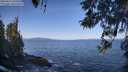 ./images/koeye/fitz-hugh/20260423/fitz-hugh20260423_100501M.jpg