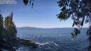 ./images/koeye/fitz-hugh/20260423/fitz-hugh20260423_101001M.jpg