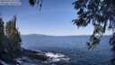 ./images/koeye/fitz-hugh/20260423/fitz-hugh20260423_101501M.jpg