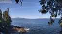 ./images/koeye/fitz-hugh/20260423/fitz-hugh20260423_104001M.jpg