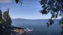 ./images/koeye/fitz-hugh/20260423/fitz-hugh20260423_105002M.jpg