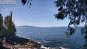 ./images/koeye/fitz-hugh/20260423/fitz-hugh20260423_120002M.jpg