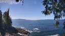 ./images/koeye/fitz-hugh/20260423/fitz-hugh20260423_132002M.jpg