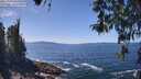 ./images/koeye/fitz-hugh/20260423/fitz-hugh20260423_133001M.jpg