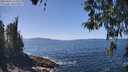 ./images/koeye/fitz-hugh/20260423/fitz-hugh20260423_134001M.jpg