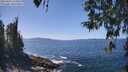 ./images/koeye/fitz-hugh/20260423/fitz-hugh20260423_134501M.jpg