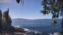 ./images/koeye/fitz-hugh/20260423/fitz-hugh20260423_135501M.jpg