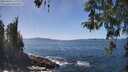 ./images/koeye/fitz-hugh/20260423/fitz-hugh20260423_140001M.jpg