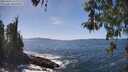 ./images/koeye/fitz-hugh/20260423/fitz-hugh20260423_142002M.jpg
