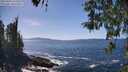 ./images/koeye/fitz-hugh/20260423/fitz-hugh20260423_143501M.jpg