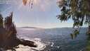 ./images/koeye/fitz-hugh/20260423/fitz-hugh20260423_154501M.jpg