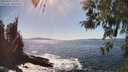 ./images/koeye/fitz-hugh/20260423/fitz-hugh20260423_155002M.jpg