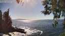 ./images/koeye/fitz-hugh/20260423/fitz-hugh20260423_160501M.jpg