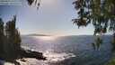 ./images/koeye/fitz-hugh/20260423/fitz-hugh20260423_161002M.jpg