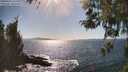 ./images/koeye/fitz-hugh/20260423/fitz-hugh20260423_161501M.jpg