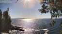 ./images/koeye/fitz-hugh/20260423/fitz-hugh20260423_163001M.jpg