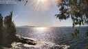 ./images/koeye/fitz-hugh/20260423/fitz-hugh20260423_164001M.jpg