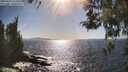 ./images/koeye/fitz-hugh/20260423/fitz-hugh20260423_164501M.jpg