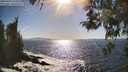 ./images/koeye/fitz-hugh/20260423/fitz-hugh20260423_165502M.jpg