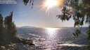 ./images/koeye/fitz-hugh/20260423/fitz-hugh20260423_173002M.jpg