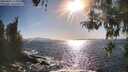 ./images/koeye/fitz-hugh/20260423/fitz-hugh20260423_174001M.jpg