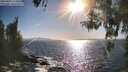 ./images/koeye/fitz-hugh/20260423/fitz-hugh20260423_174501M.jpg