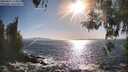 ./images/koeye/fitz-hugh/20260423/fitz-hugh20260423_175001M.jpg