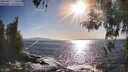 ./images/koeye/fitz-hugh/20260423/fitz-hugh20260423_175501M.jpg