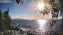 ./images/koeye/fitz-hugh/20260423/fitz-hugh20260423_181501M.jpg