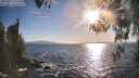 ./images/koeye/fitz-hugh/20260423/fitz-hugh20260423_182501M.jpg