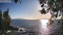 ./images/koeye/fitz-hugh/20260423/fitz-hugh20260423_183501M.jpg