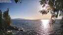 ./images/koeye/fitz-hugh/20260423/fitz-hugh20260423_184001M.jpg