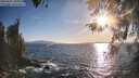 ./images/koeye/fitz-hugh/20260423/fitz-hugh20260423_185001M.jpg