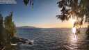 ./images/koeye/fitz-hugh/20260423/fitz-hugh20260423_194501M.jpg
