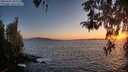 ./images/koeye/fitz-hugh/20260423/fitz-hugh20260423_203502M.jpg