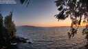 ./images/koeye/fitz-hugh/20260423/fitz-hugh20260423_205501M.jpg