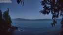 ./images/koeye/fitz-hugh/20260424/fitz-hugh20260424_054001M.jpg