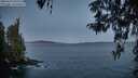 ./images/koeye/fitz-hugh/20260424/fitz-hugh20260424_055501M.jpg