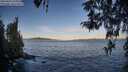 ./images/koeye/fitz-hugh/20260424/fitz-hugh20260424_071001M.jpg