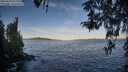 ./images/koeye/fitz-hugh/20260424/fitz-hugh20260424_072001M.jpg