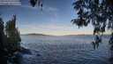 ./images/koeye/fitz-hugh/20260424/fitz-hugh20260424_072501M.jpg