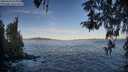 ./images/koeye/fitz-hugh/20260424/fitz-hugh20260424_073001M.jpg